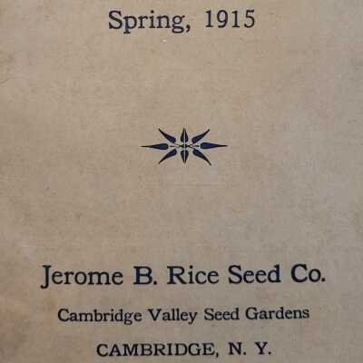 Wholesale Price List of Seeds Spring, 1915 Jerome B Rice Seed Company