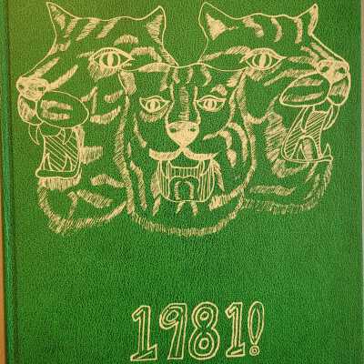 1981 Hermes Hudson Falls NY School Yearbook