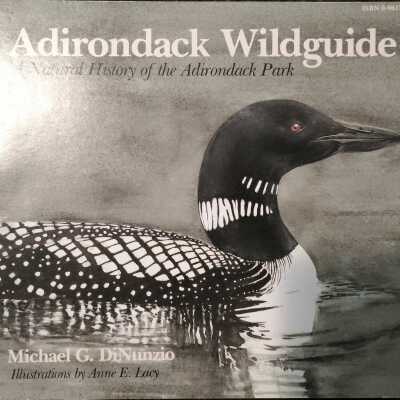 Adirondack Wildguide: A Natural History of the Adirondack Park