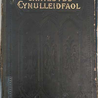 Caniedydd Cynulleidfaol