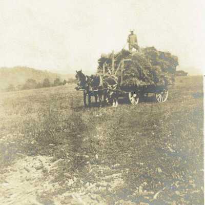 Photograph of Haying in Putnam