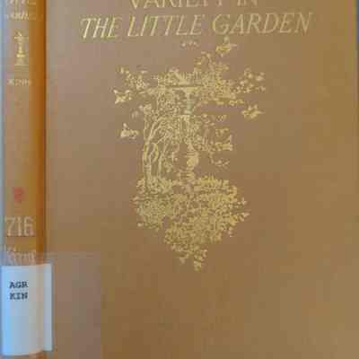 Variety In The Little Garden