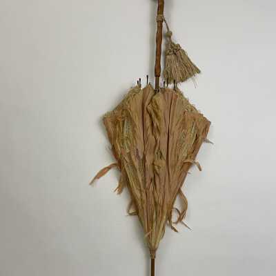 Parasol