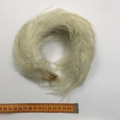 Headband