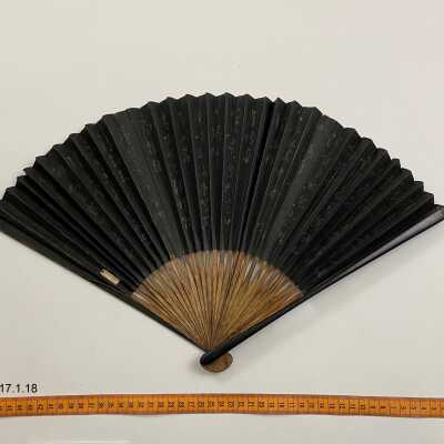 Hand Fan