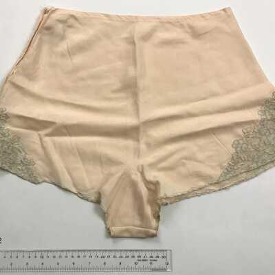 Briefs