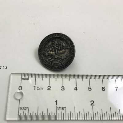 Pin