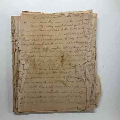 Mrs. William McNeil Diaries 1877 & 1879