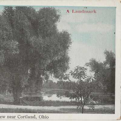 View near Cortland, Ohio