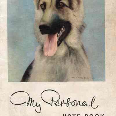 Wilhemien Viets notebook/diary