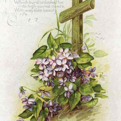 Easter Card to Wilhemien Viets