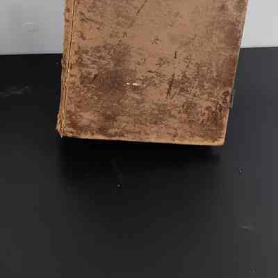 German Bible