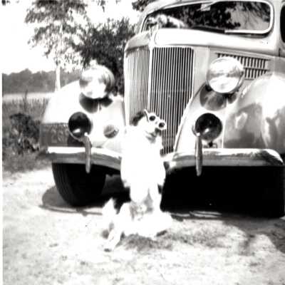 Grandma's Dog Lindy