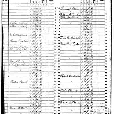 1850 Henrico County VA Slave Census: Emanuel Straus, One salve age 40 and one slave age 12.