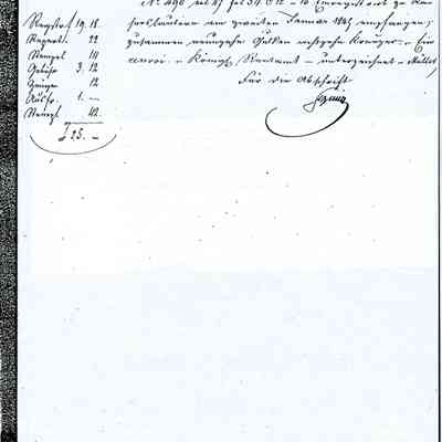Business Paper: Mentions Johanette GRUENEBAUM, Isaac Strauss and Lazarus Straus junior. No. 301. 23 December 1844. In Old German. Not translated. Seven handwritten pages.