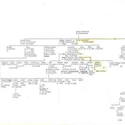 Family Tree: Bernheim and Bissinger family descendants.