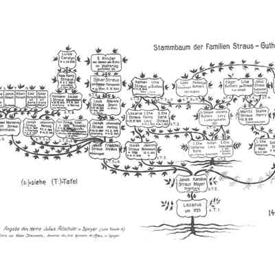 Seventeen pages of artistic Straus Family Tree
