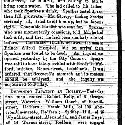 Article: "Death of Edgar Straus," The Sydney Morning Herald. 28 December 1899.