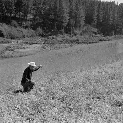 Man in field