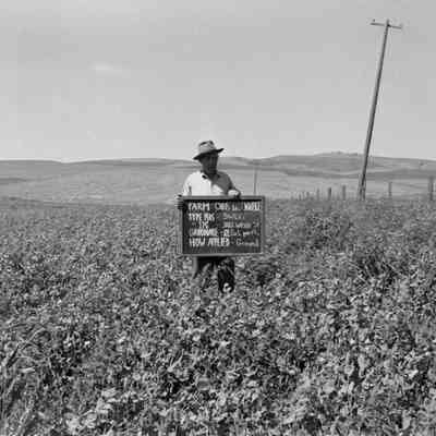 Chris Broenneke's field