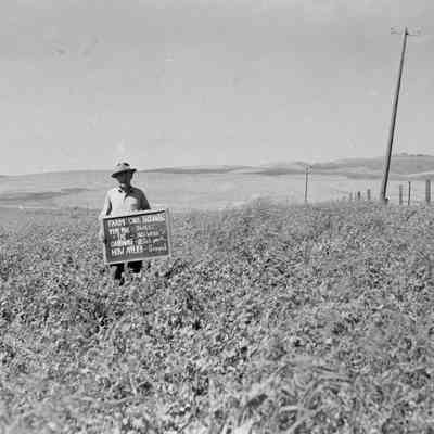 Chris Broenneke's field