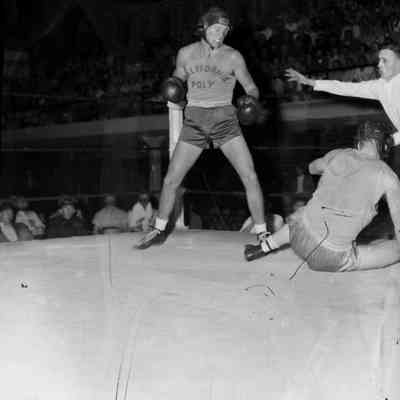The knockdown