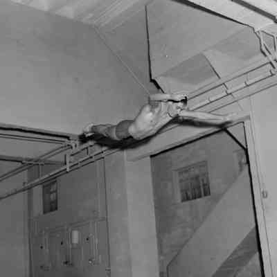 The dive