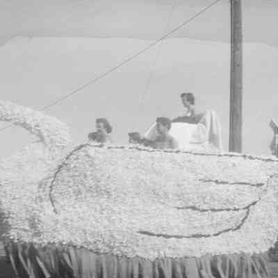 Swan boat