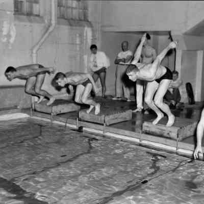 Taking a dive