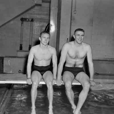Diving board