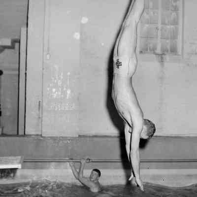 The dive