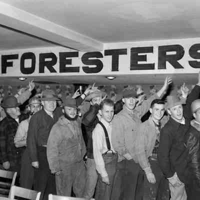 Foresters