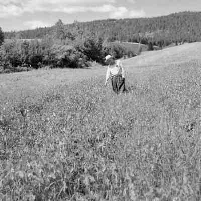 Farmer in field