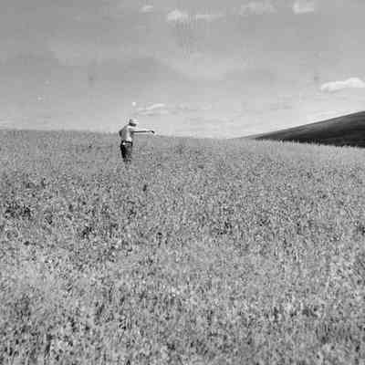 Outstanding in his field