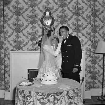 Feeding the cake