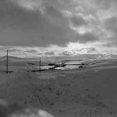 Winter on the Palouse