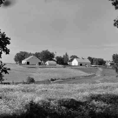 The farm