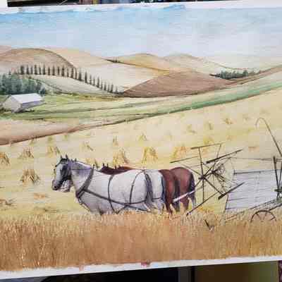 Palouse Country Scene