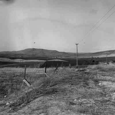 Palouse landscape