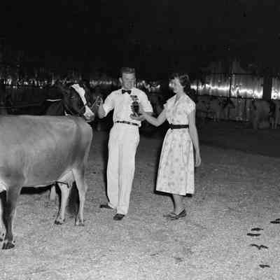 Trophy cow
