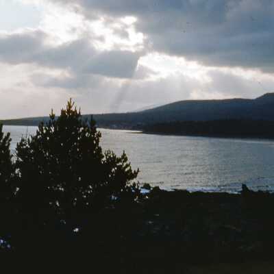 1954 - Ocean