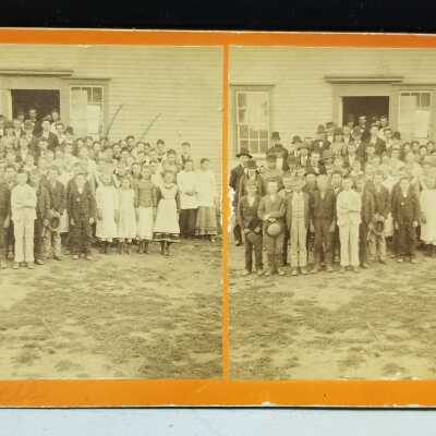 Stereoview
