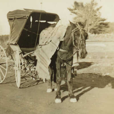 Horse and buggy