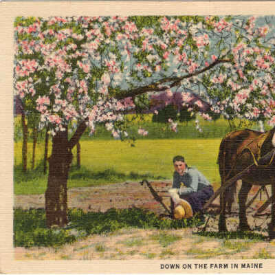 Postcards, A.I. Young Collection