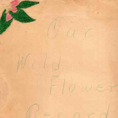 Wildflower Records from the Lincolnville Central School - 1949