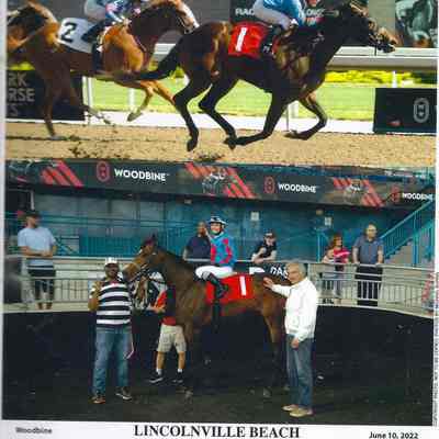 Horse Race