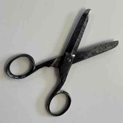scissors