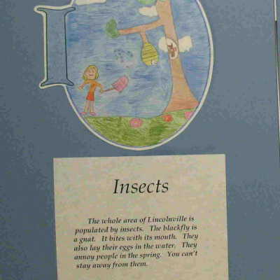 Lincolnville Letters
