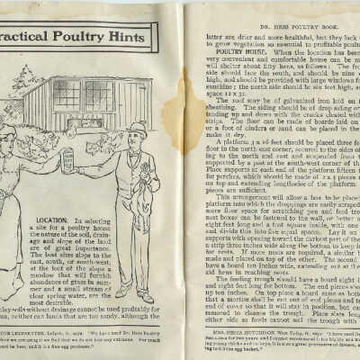 inside poultry booklet