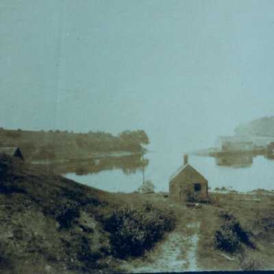Ducktrap Point sheds